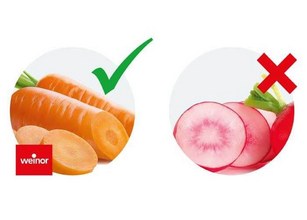 Zwei runde Bereiche mit Karotten in Orange und Radieschen in Rosa, jeweils mit Symbolen für richtig oder falsch. 